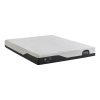 Serta Pure