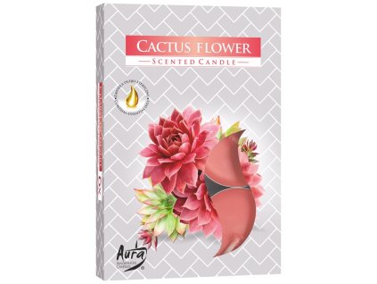 Čajové 6 ks Cactus flower