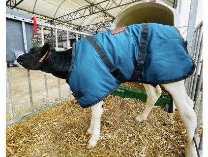 Premiová vesta pro telata