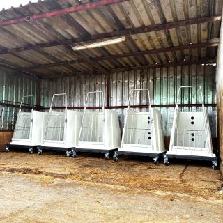 🐮 Prvních pár dní rozhoduje Na konci roku jsme na farmu dodali startovací boxy pro telata, určené pro první dny po...