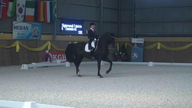 Fabrizio s Corradem AZ na CDI3* Wroclaw Grand Prix Kur za 66.350%