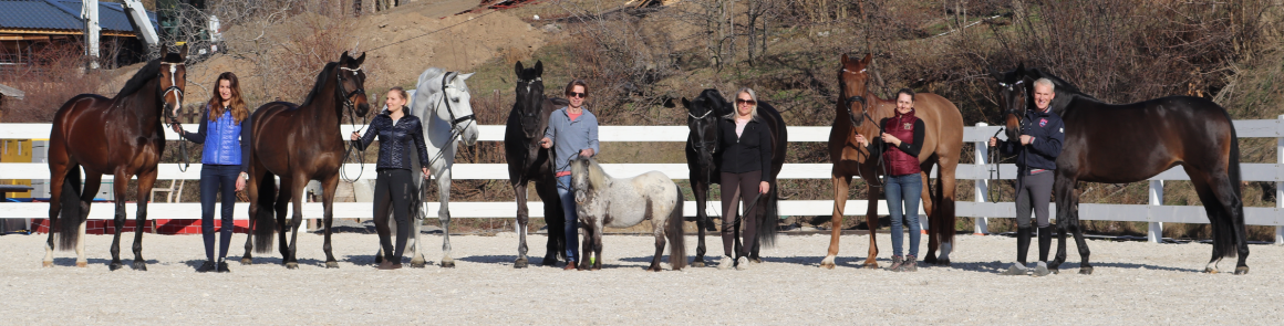 clenove_dressage_academy