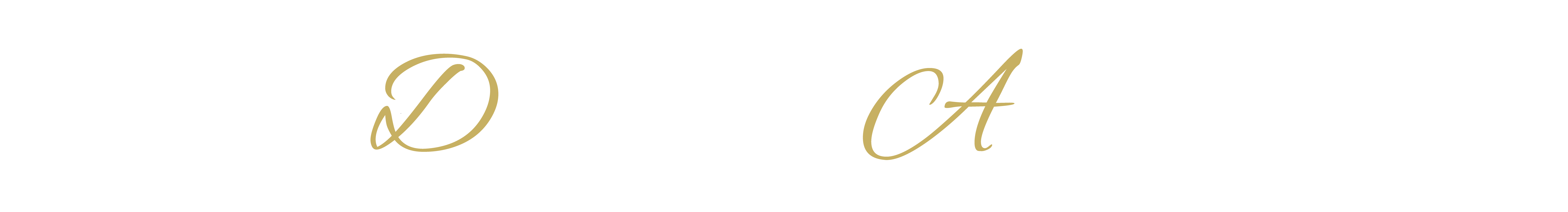 Dressage Academy