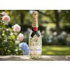 moet chandon color onion stylized