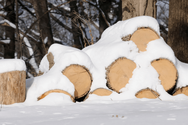 Kdy je nejlepší čas pro nákup palivového dřeva?