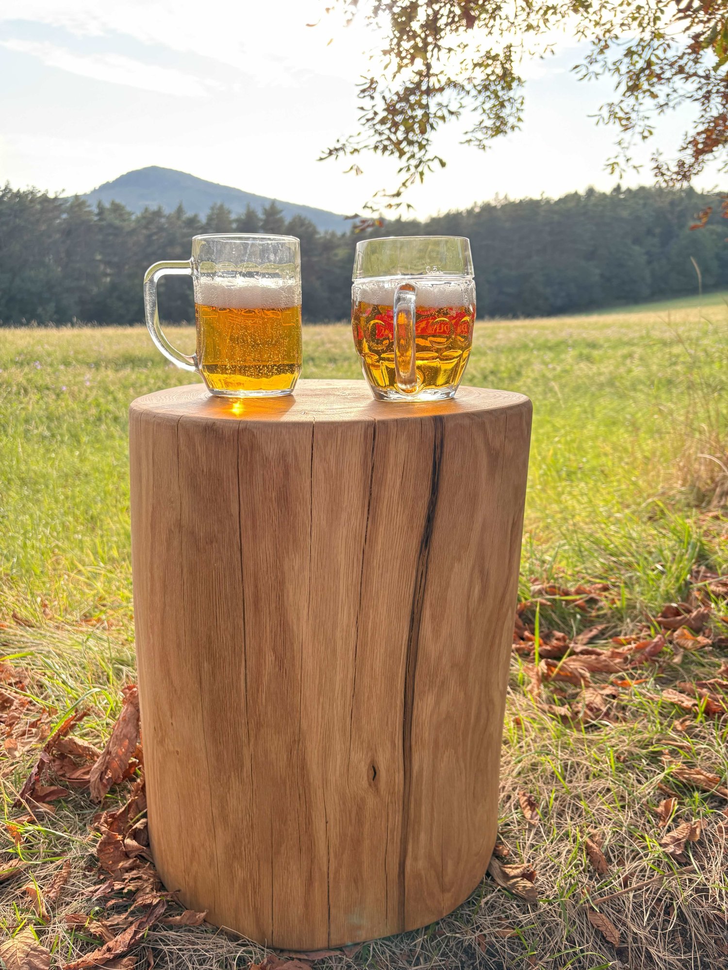 Luxusní zahrada 2026: Návrat k monumentálnímu dubu. Proč neotálet s objednávkou?