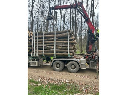 Kladovka 24,5 m³ – Tvrdé palivové dřevo v kládách (Buk/Dub/Jasan)  – buk, dub, jasan, habr – kulatina