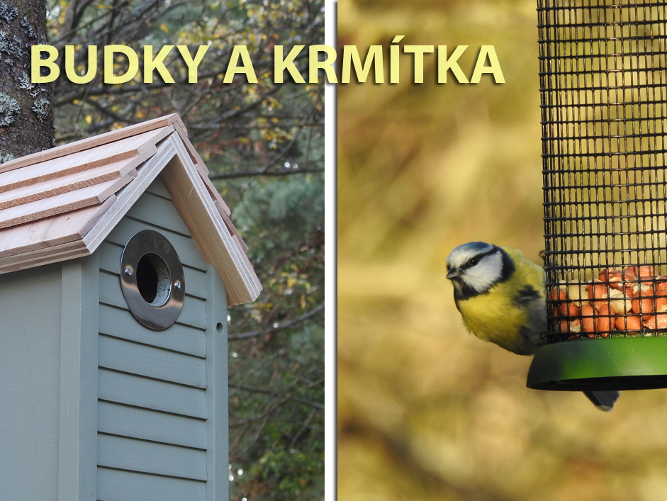 Ptačí budky a krmítka do zahrady