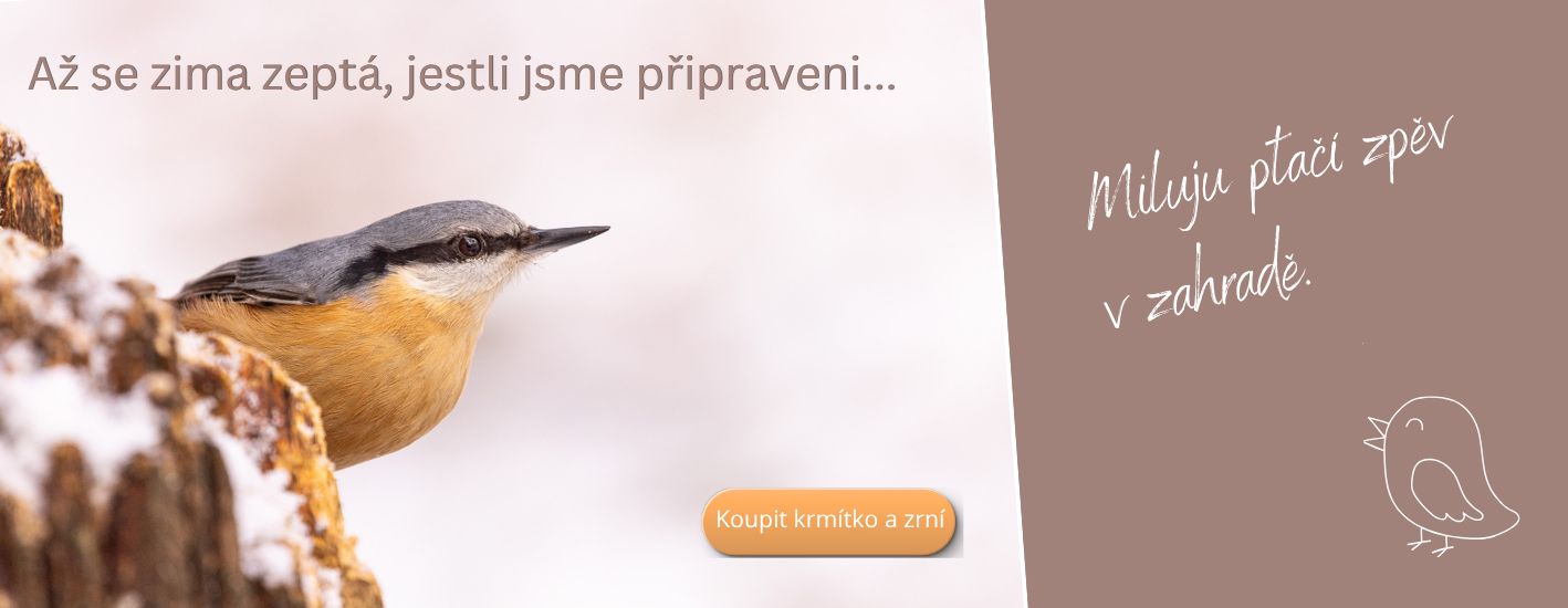 Ptačí budky a krmítka do zahrady