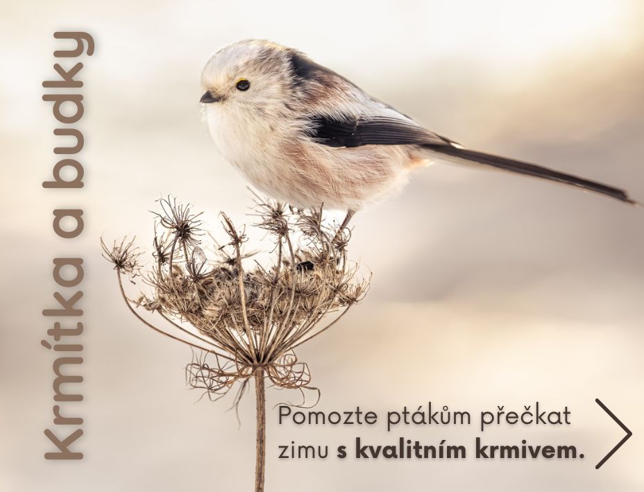 Ptačí budky a krmítka do zahrady