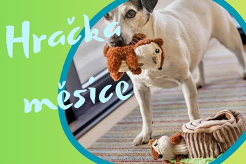 odolna, zabavna hracka pro psa