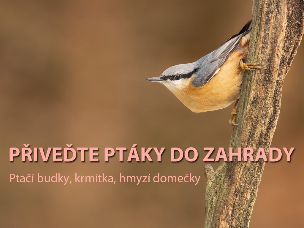 Ptačí budky a krmítka