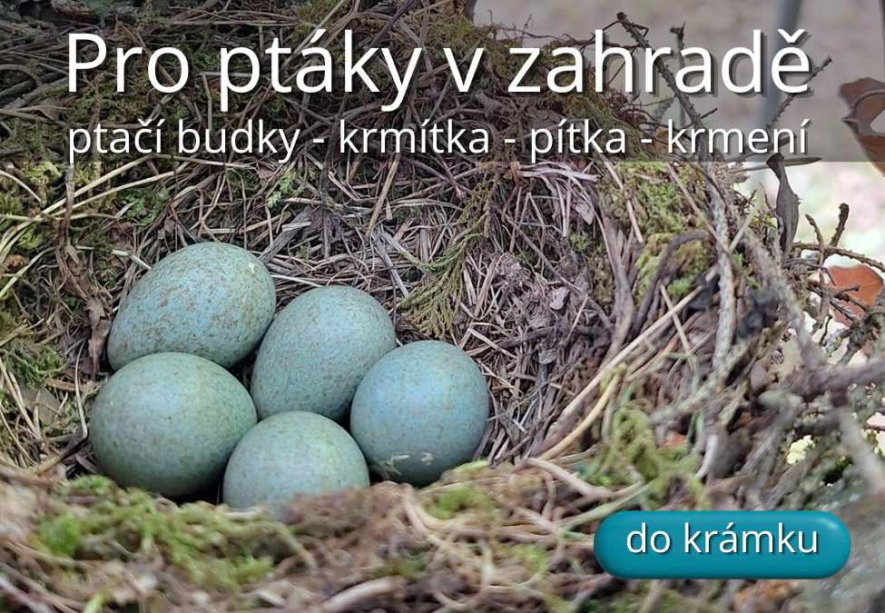 Ptačí budky a krmítka do zahrady