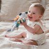 PTC205 1.squeaker