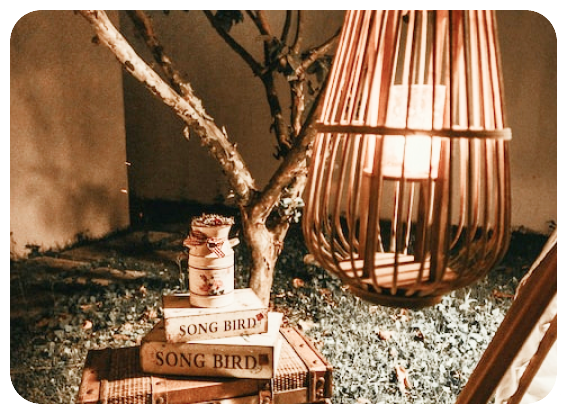 Krása dreva je opäť čoraz obľúbenejšia