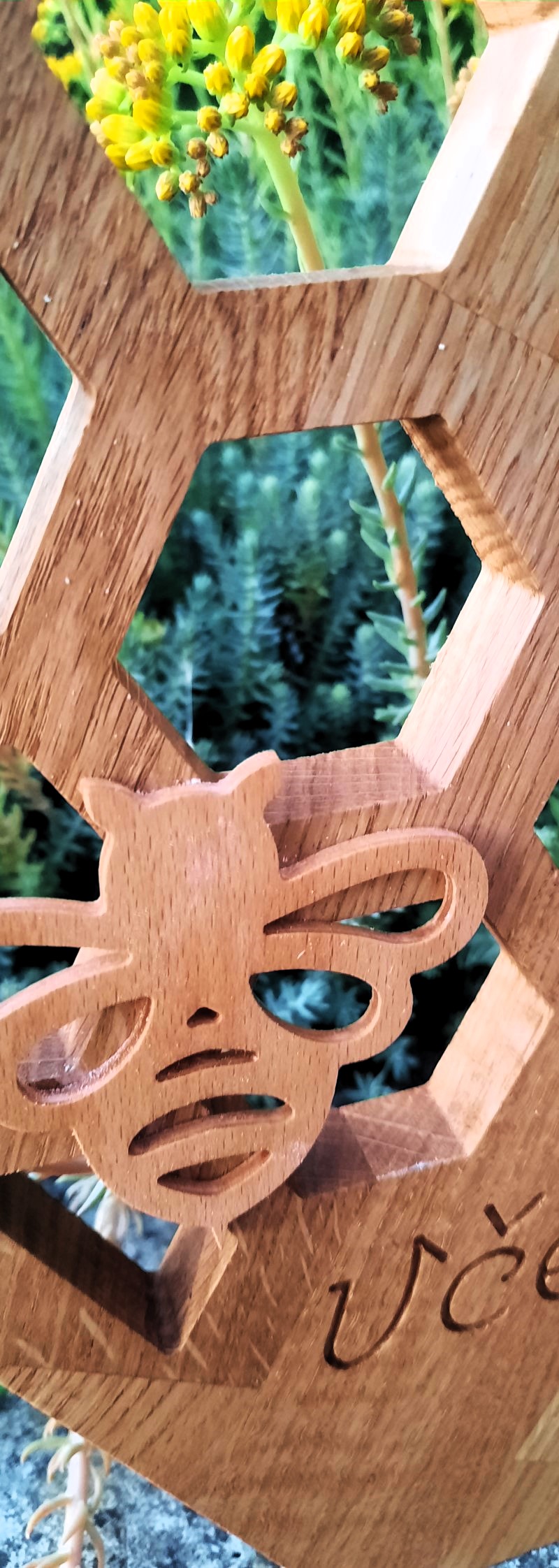 obr5