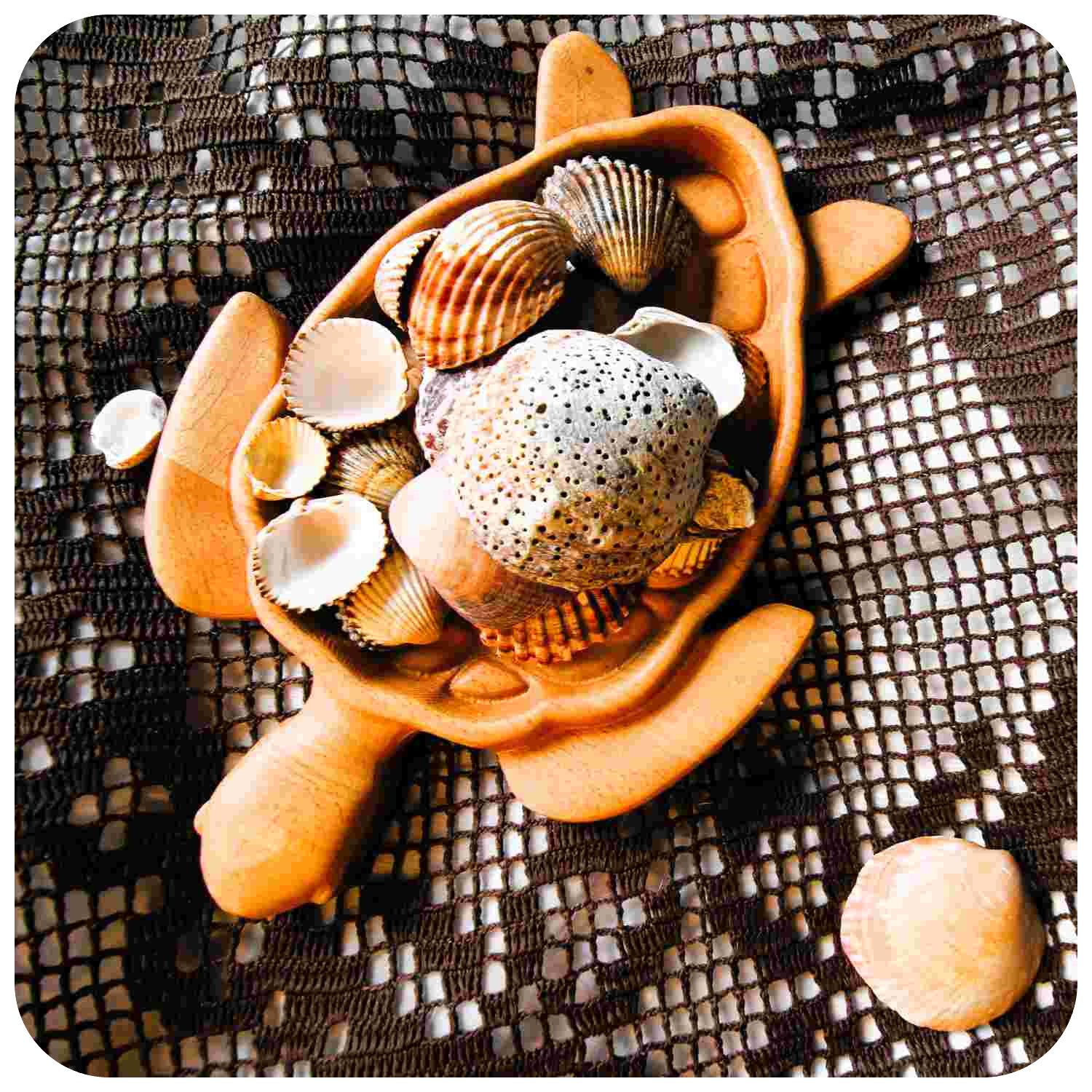 Drevená dizajnová miska Korytnačka