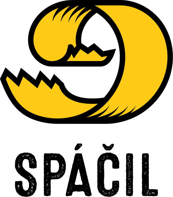 Dřevěná stavebnice