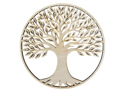 Photoroom 20260216 144911