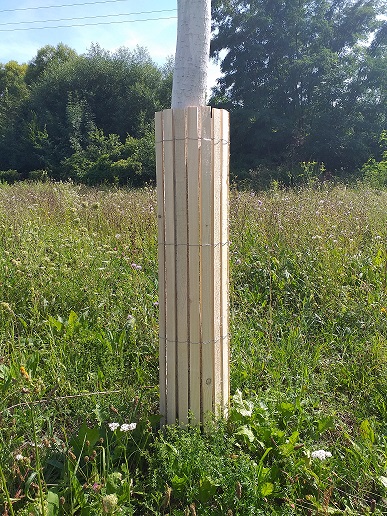 Ochrana kmene stromků proti okusu