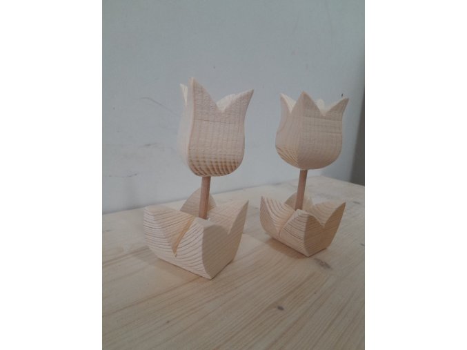 3D tulipán