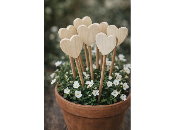 Zápich srdce 5x5 cm