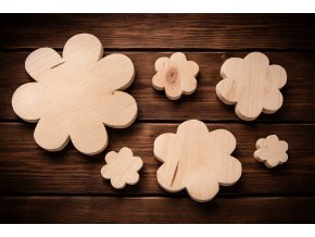 Sada 6 květů k dotvoření