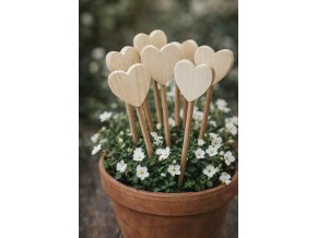 Zápich srdce 5x5 cm