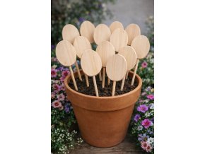 Zápich vajíčko masiv