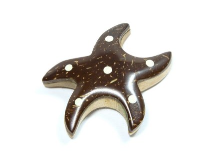 Hvězdice - magnetka kokosové dřevo