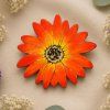 Gerbera