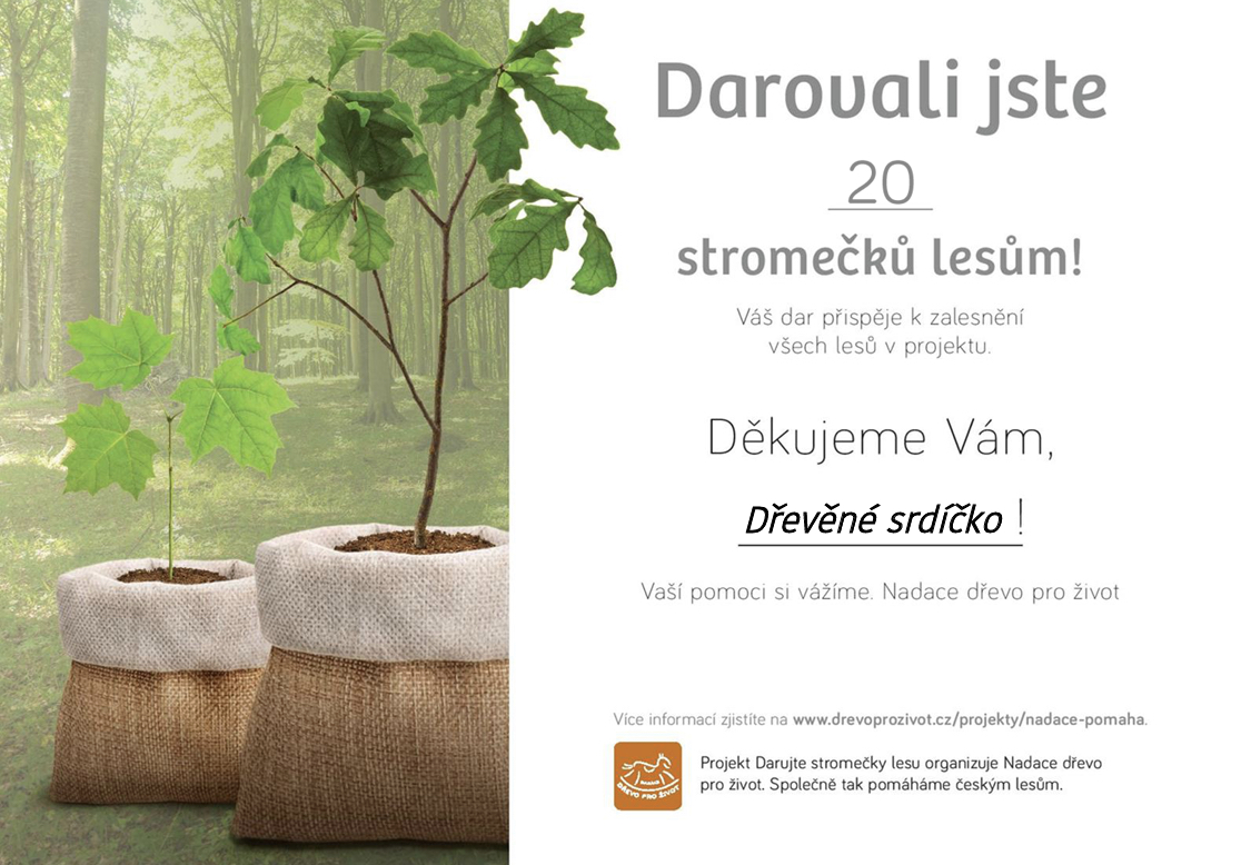 Darovala jsem stromečky lesům, chcete se dozvědět více? ♡