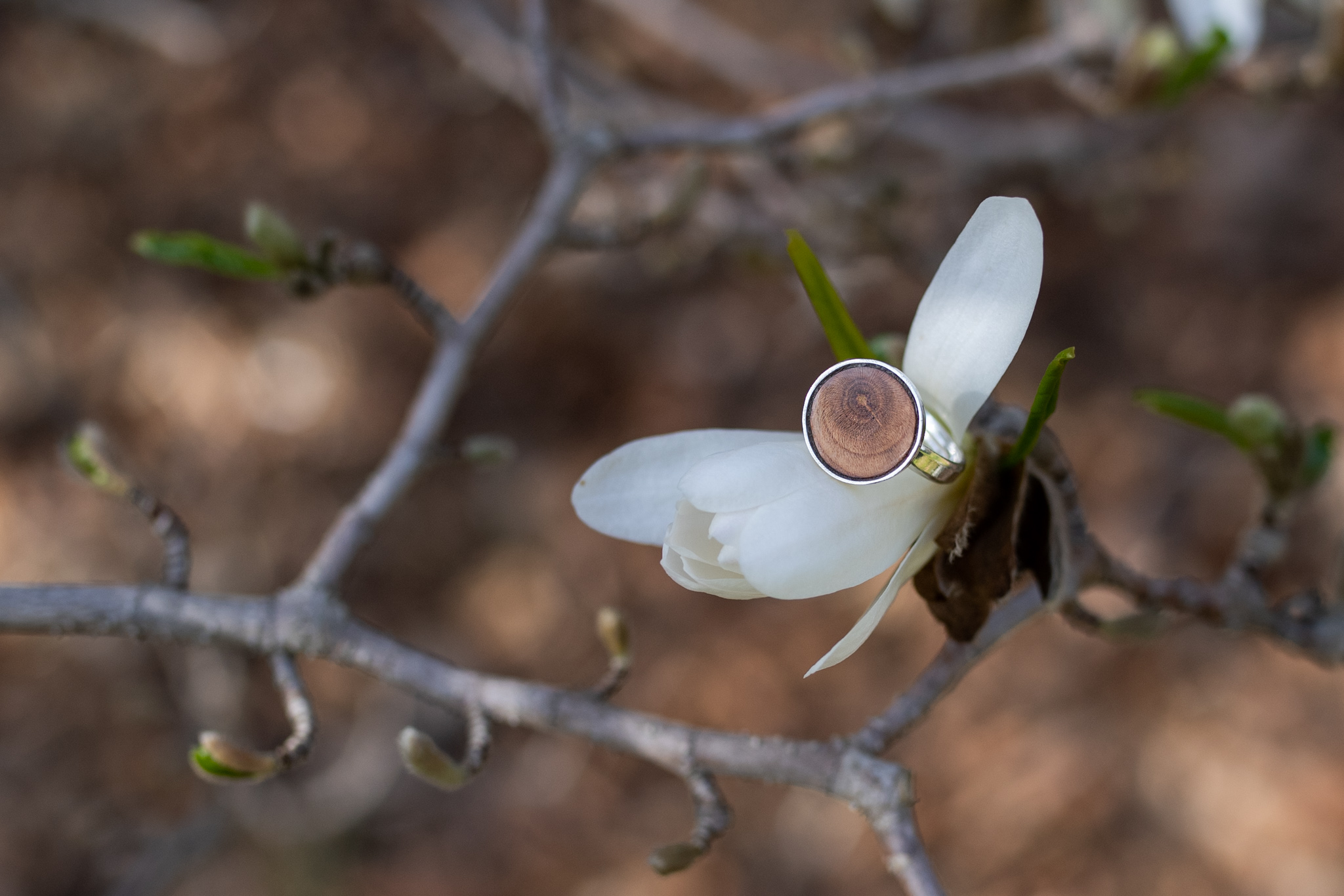 Stříbrný prstýnek se dřevěným sukem