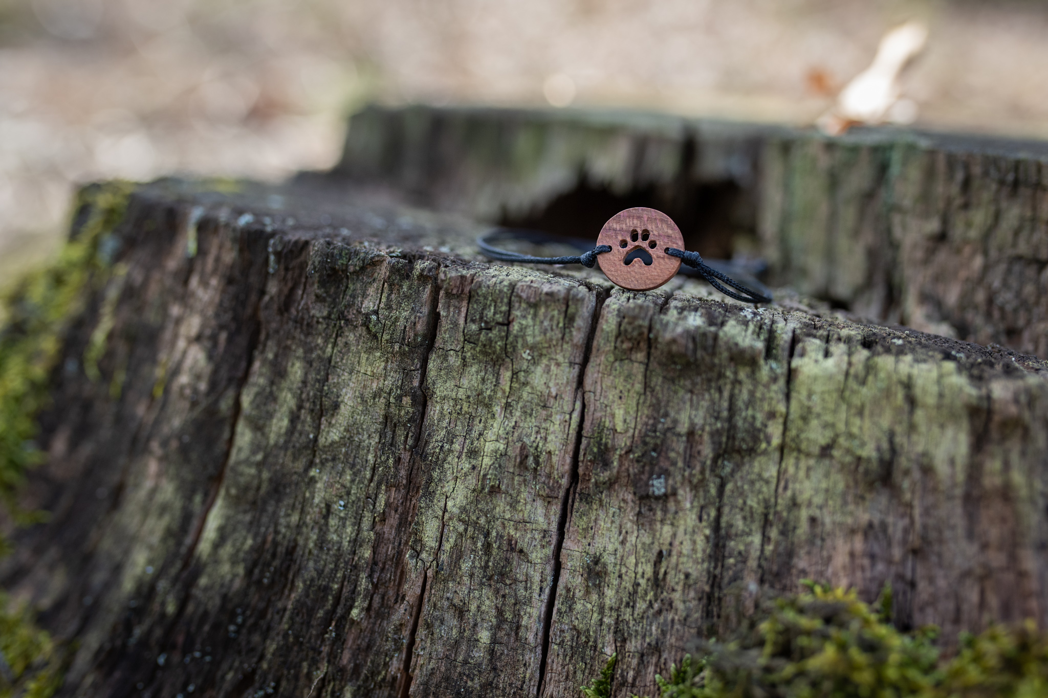 Medailonek s ručně vyfrézovanou tlapkou je vyrobený ze švestkového dřeva a ošetřený voskem.