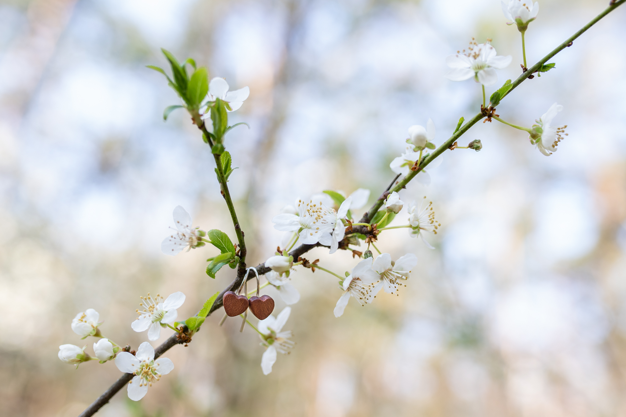 Srdíčkový minimalismus na uši. Srdíčka jsem vyrobila ze švestkového dřevíčka, které je ošetřeno směsí přírodních olejů a vosků Odie’s oil.