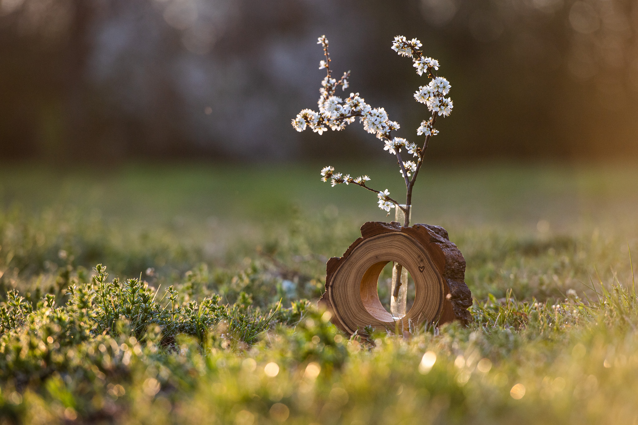 Akátová vázička. Váza je vyrobena ručně v kombinaci s ručně vyrobeným sklem...Dřevíčko je ošetřeno přírodní voděodpudivou směsí Odie’s oil.