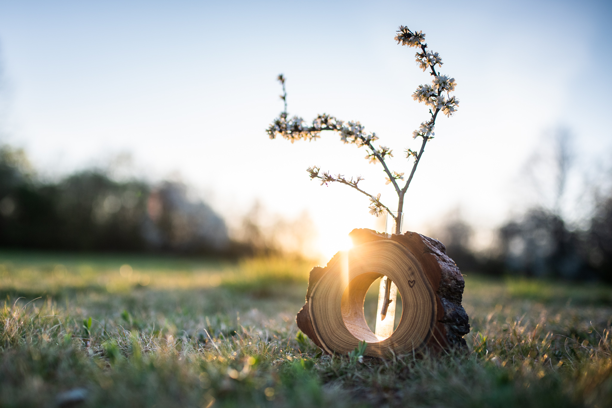 Akátová vázička. Váza je vyrobena ručně v kombinaci s ručně vyrobeným sklem...Dřevíčko je ošetřeno přírodní voděodpudivou směsí Odie’s oil.