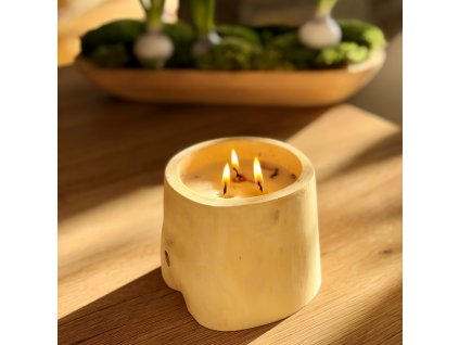 8CE5032F 9AFA 4CCF AC48 6C967DC46892