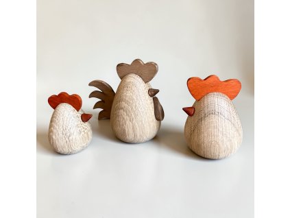 Photoroom 20260224 112306