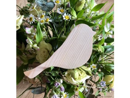 DB247608 4970 4BD3 A4E2 D648E0D7B363