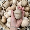 Dřevěný žalud do floristických aranžmá a DIY tvoření