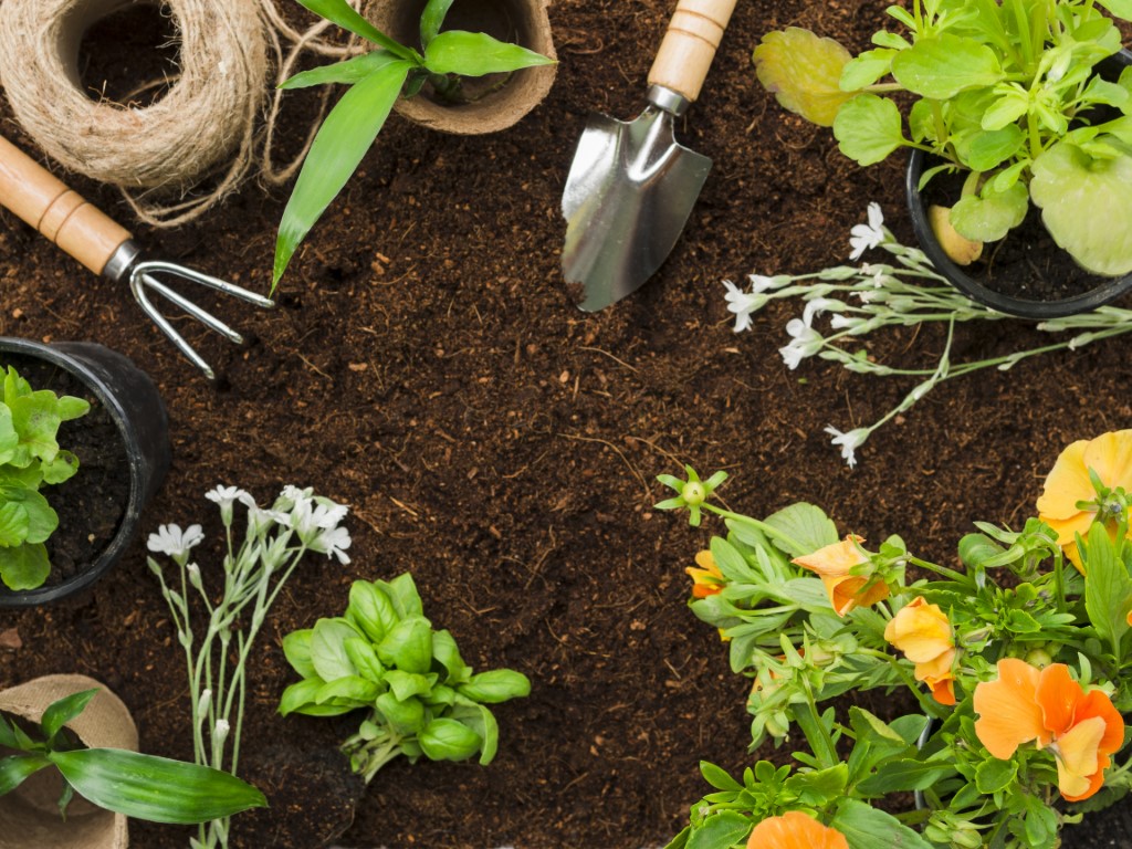 Výhody pěstování zeleniny ve vyvýšených záhonech