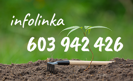 infolinka 603-942-426