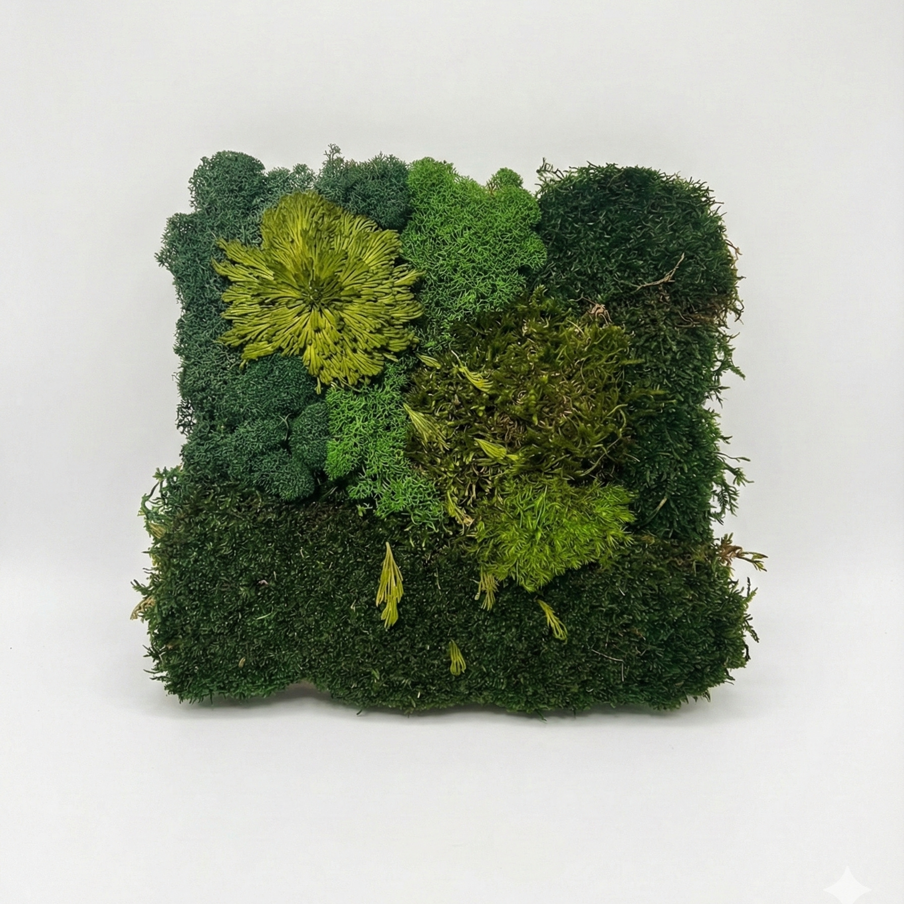 Mechový obraz FOREST | Lesní podrost a divoká struktura