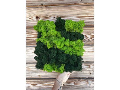 Mechový obraz v kontrastu | Dva odstíny přírody, nulová starost