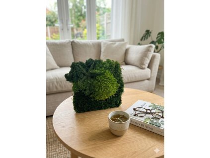 mechovy obraz botanic kapradi 2