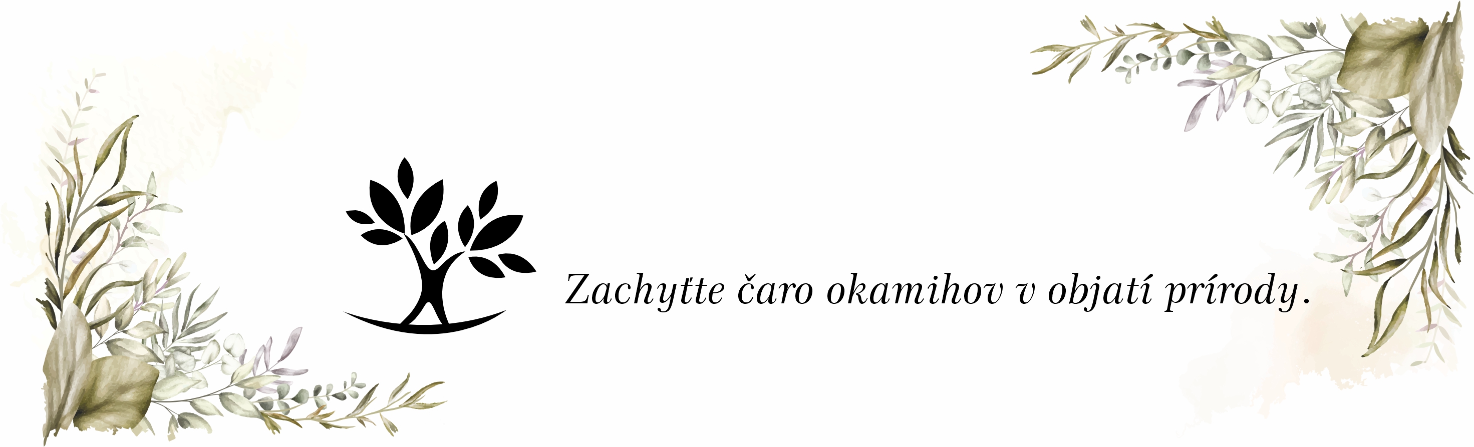Baner