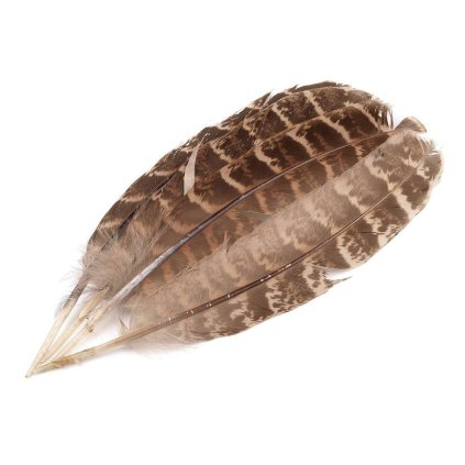 Bažantí peří délka 10-18 cm, 10 ks