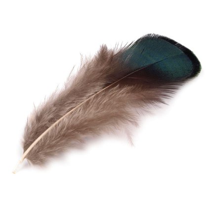 Bažantí peří délka 4,5-9 cm (Varianta 2 zelená šedá tmavá, Balení 20 ks)