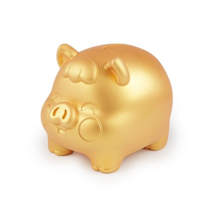 Zlaté prasátko pro štěstí / pokladnička pro svatby a Vánoce